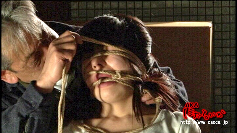 サンプル画像 3