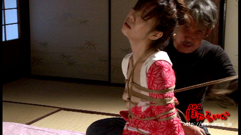 サンプル画像 3