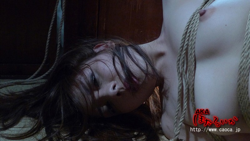 サンプル画像 11