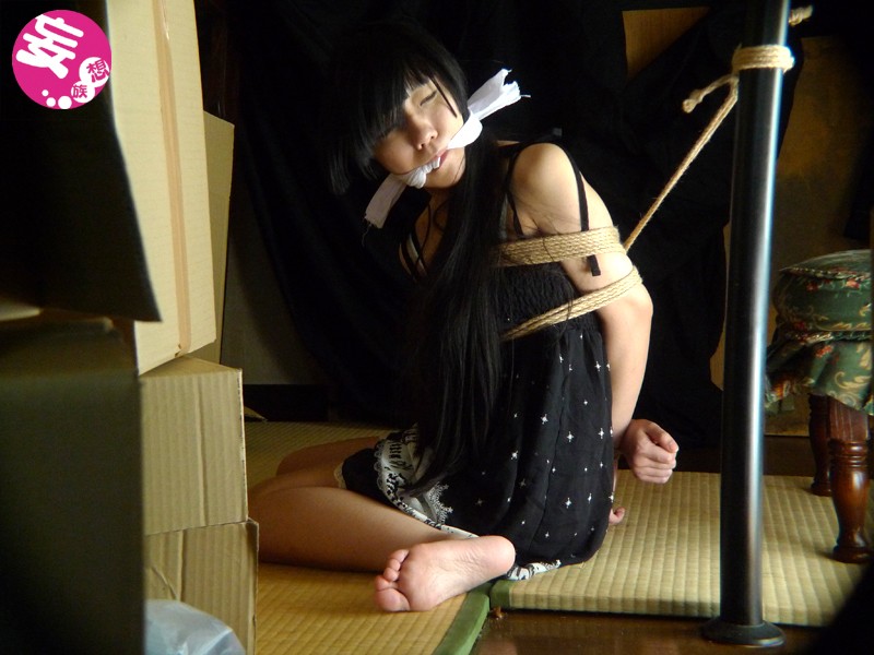 サンプル画像 8