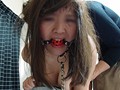 サンプル画像 13