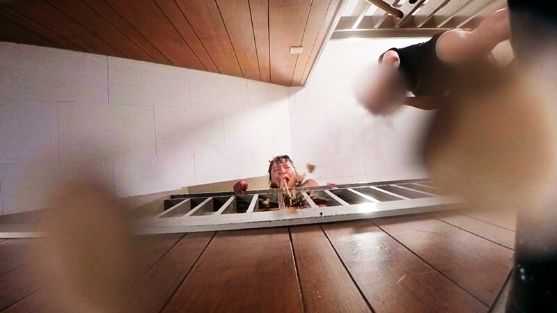 サンプル画像 11