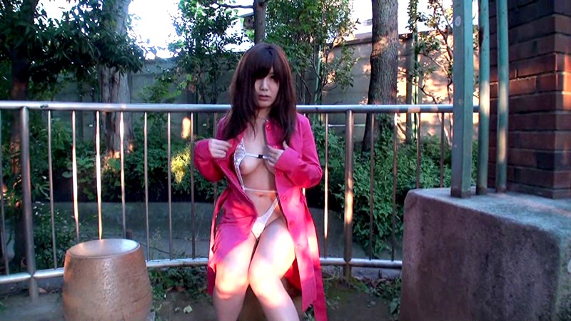 サンプル画像 11