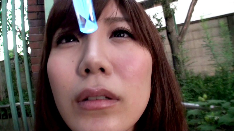 サンプル画像 12