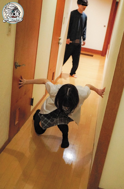 サンプル画像 5