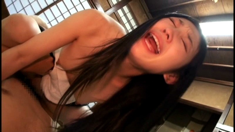 サンプル画像 13