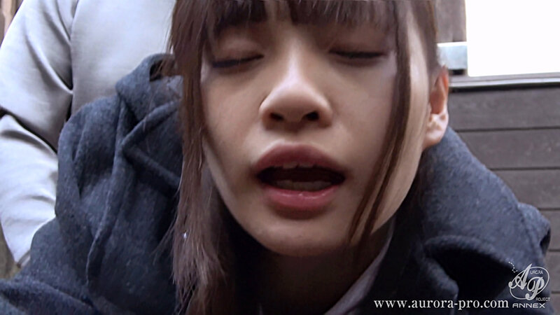 サンプル画像 11