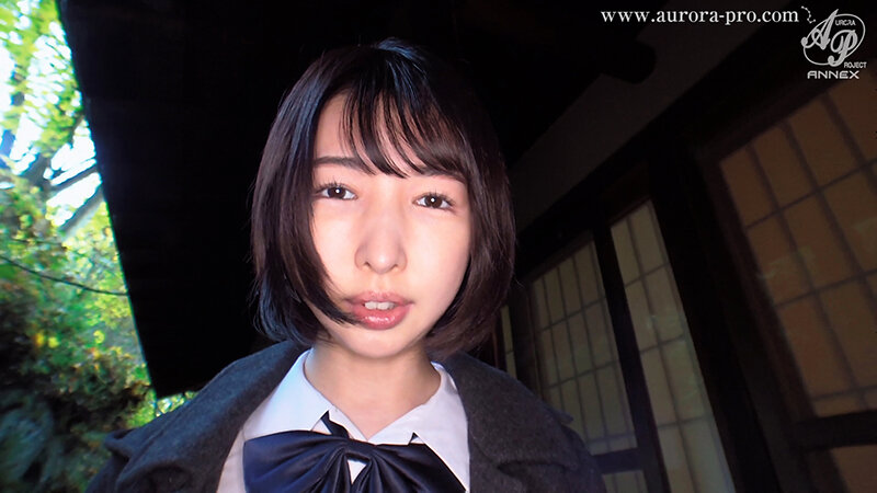 サンプル画像 5