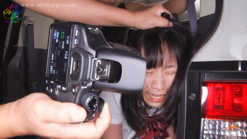 サンプル画像 3