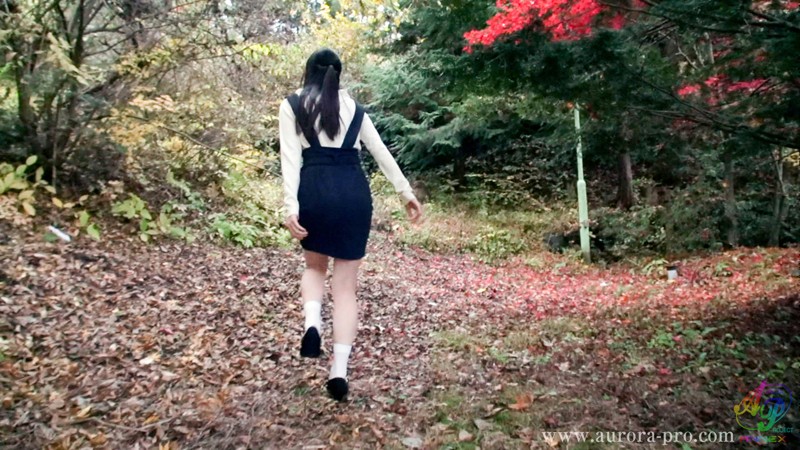 サンプル画像 19