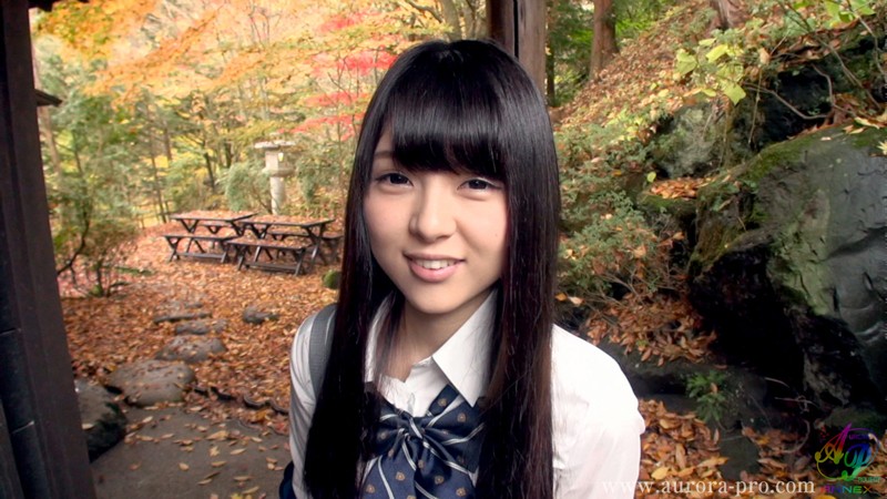 サンプル画像 5