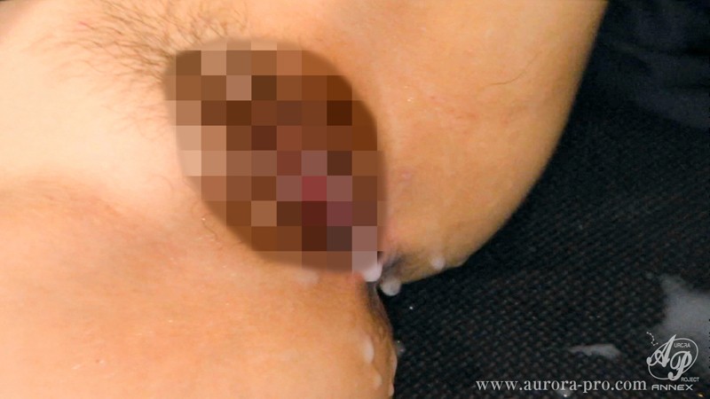 サンプル画像 13