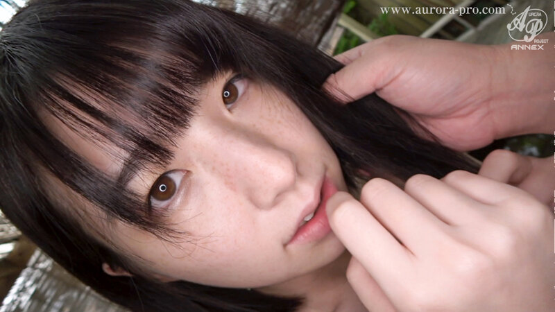 サンプル画像 13