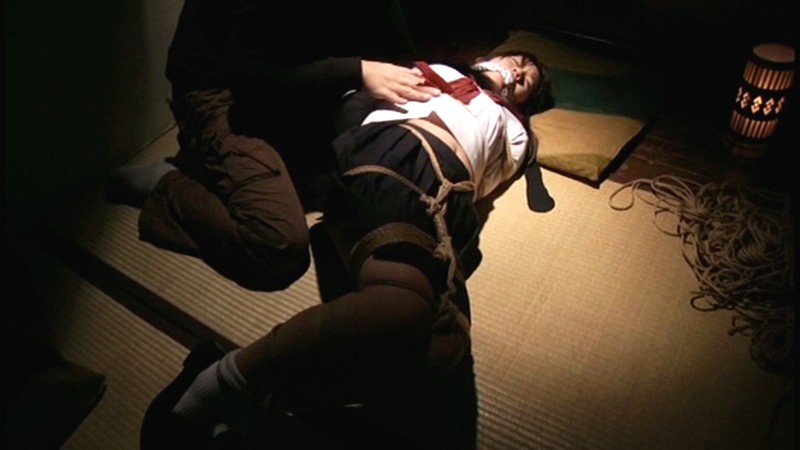 サンプル画像 2