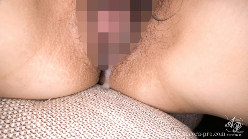 サンプル画像 14