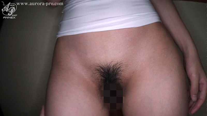 サンプル画像 12