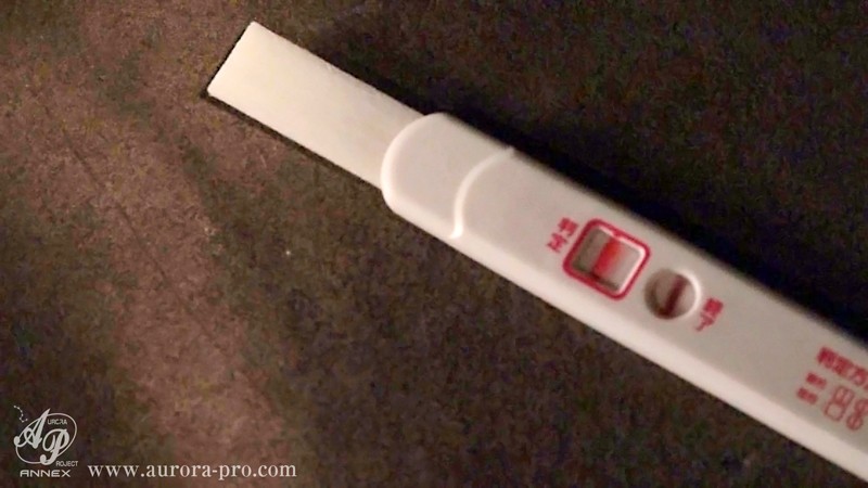 サンプル画像 10