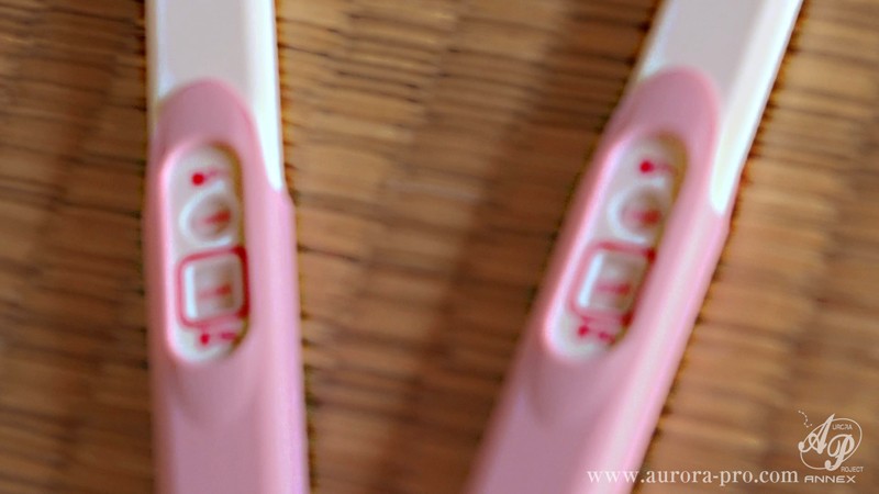 サンプル画像 12