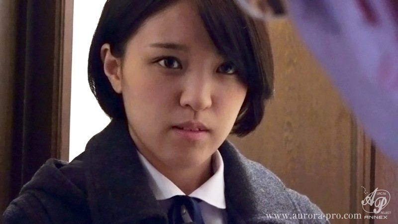 サンプル画像 3