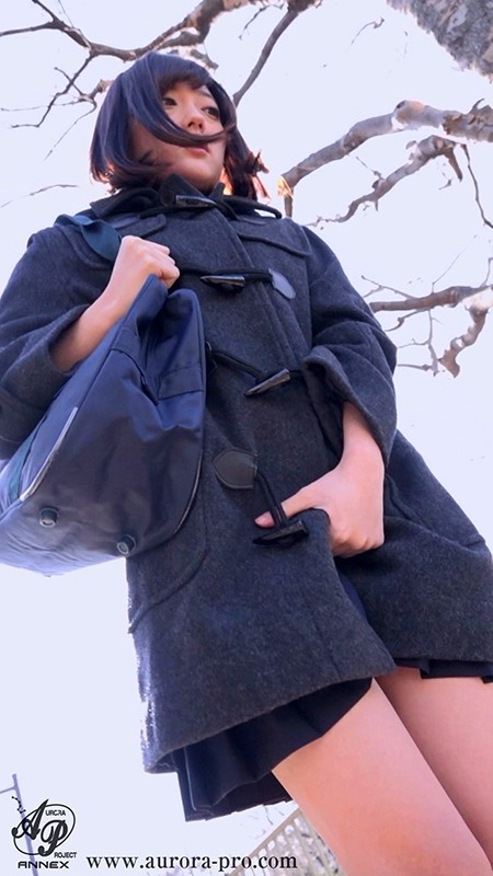 サンプル画像 3