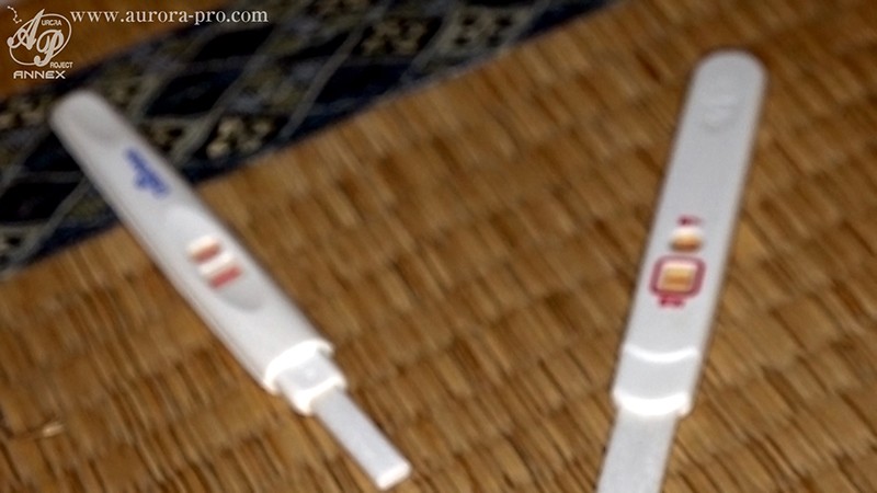 サンプル画像 12