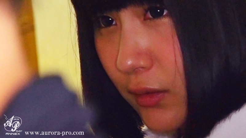 サンプル画像 11