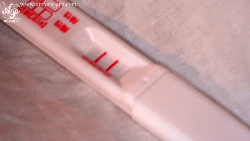 サンプル画像 14