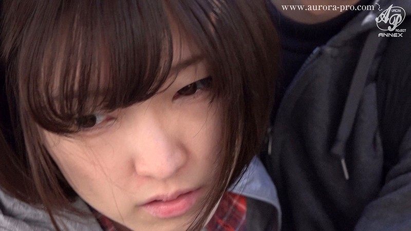 サンプル画像 11