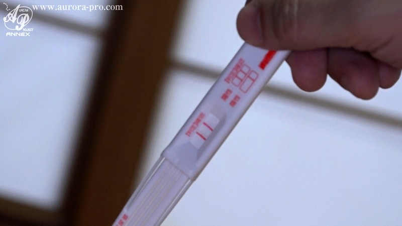 サンプル画像 16