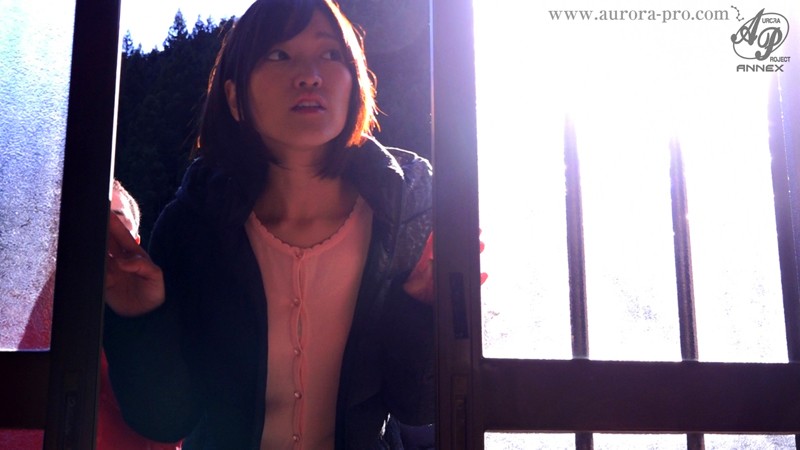 サンプル画像 11