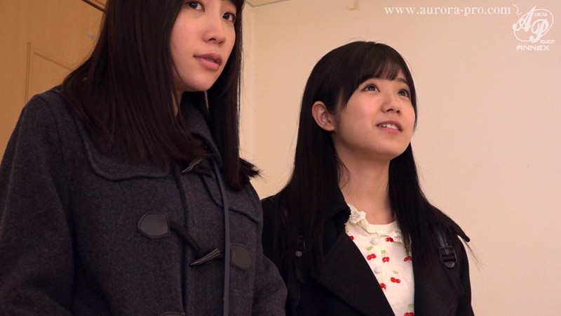 サンプル画像 11