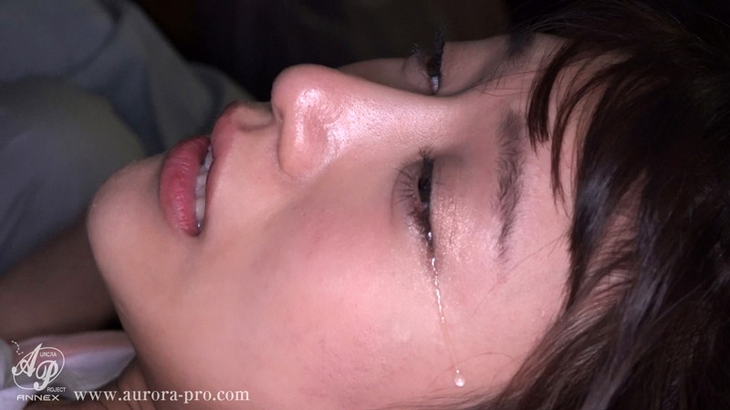 サンプル画像 14