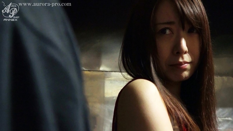 サンプル画像 13