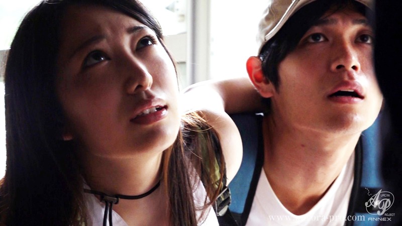 サンプル画像 12