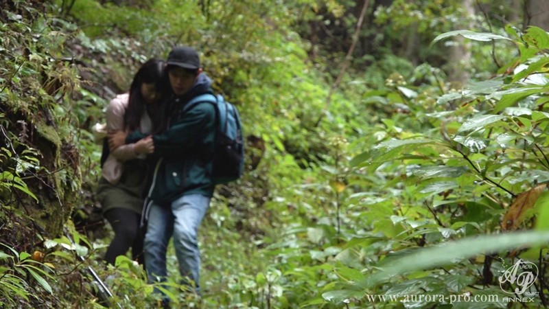 サンプル画像 11