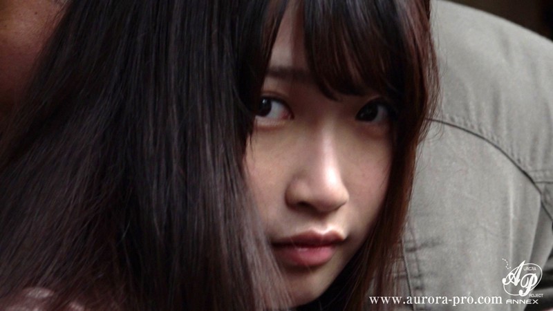 サンプル画像 14