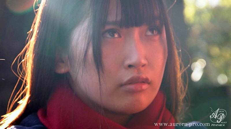 サンプル画像 11