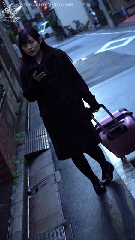 サンプル画像 10