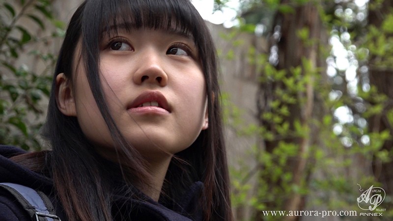 サンプル画像 15