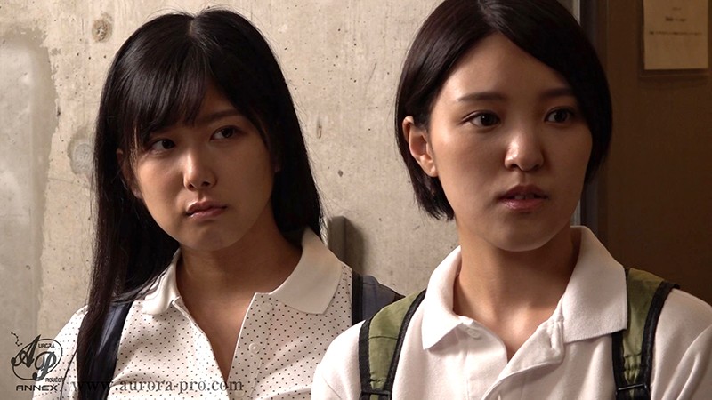 サンプル画像 13