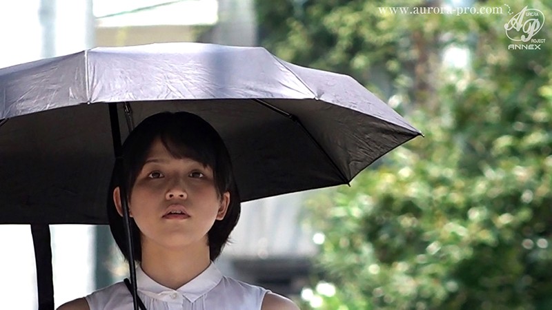 サンプル画像 12