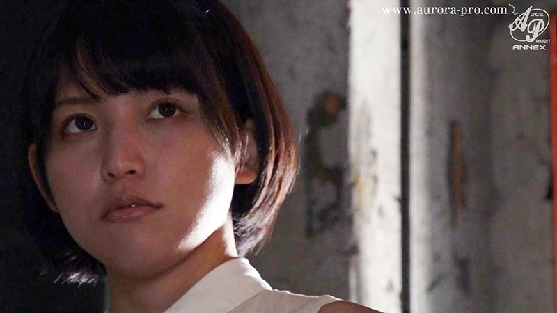 サンプル画像 13