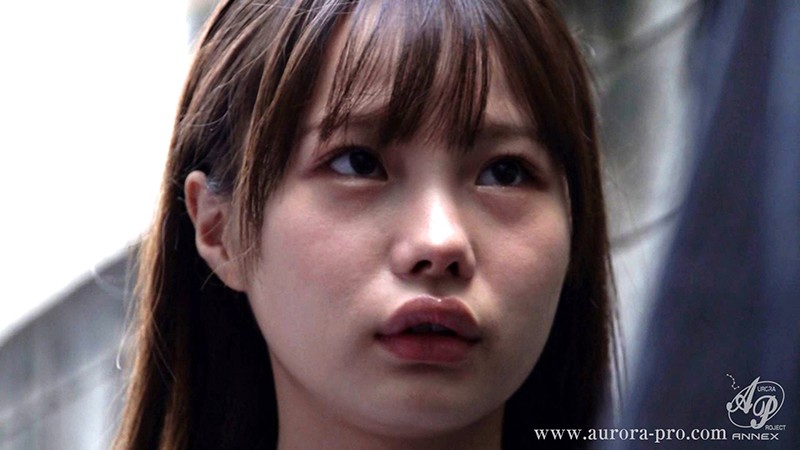 サンプル画像 13