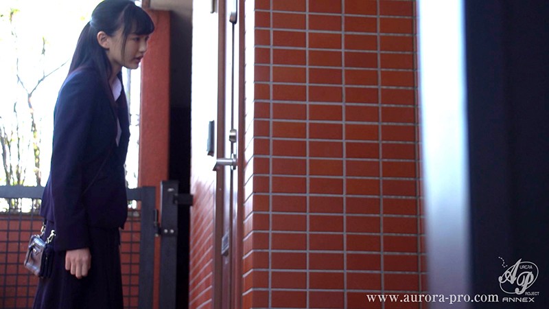 サンプル画像 11