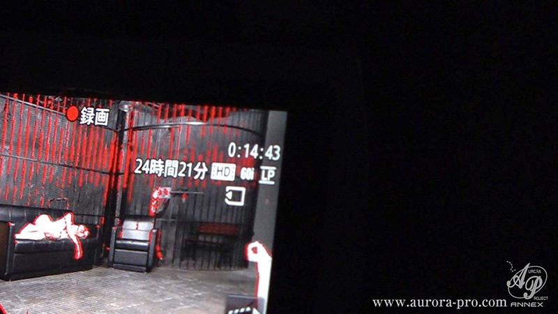 サンプル画像 14