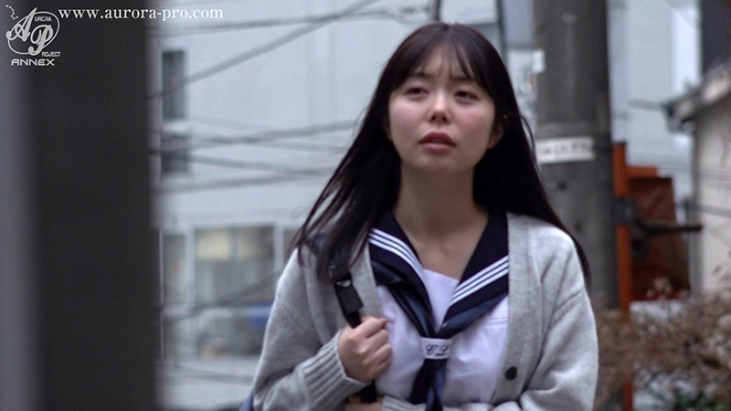 サンプル画像 13