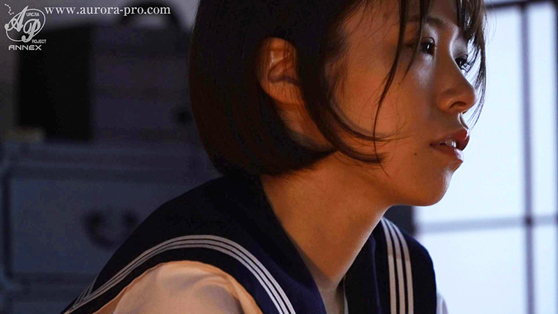 サンプル画像 13