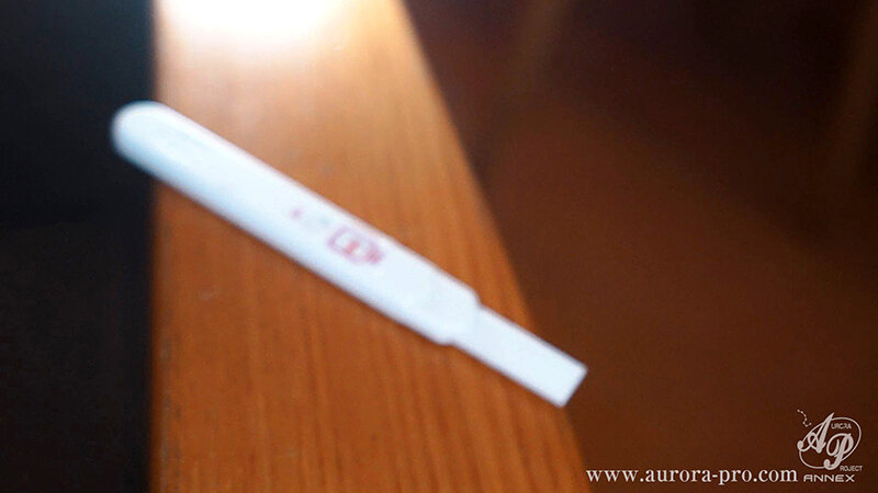 サンプル画像 14