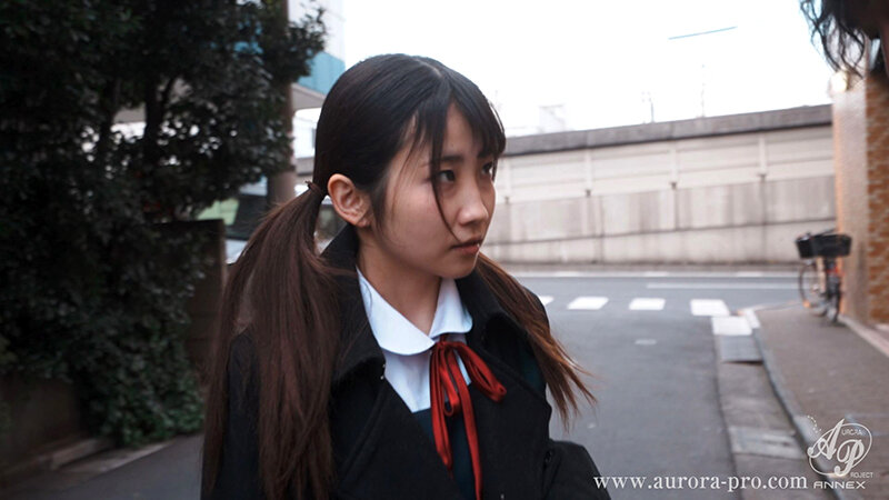 サンプル画像 14