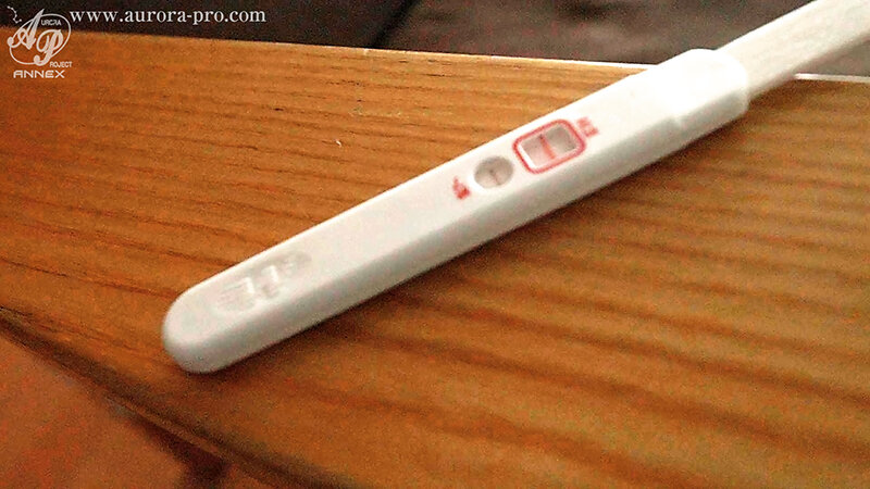 サンプル画像 13